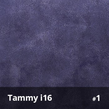 Tammy i16 1